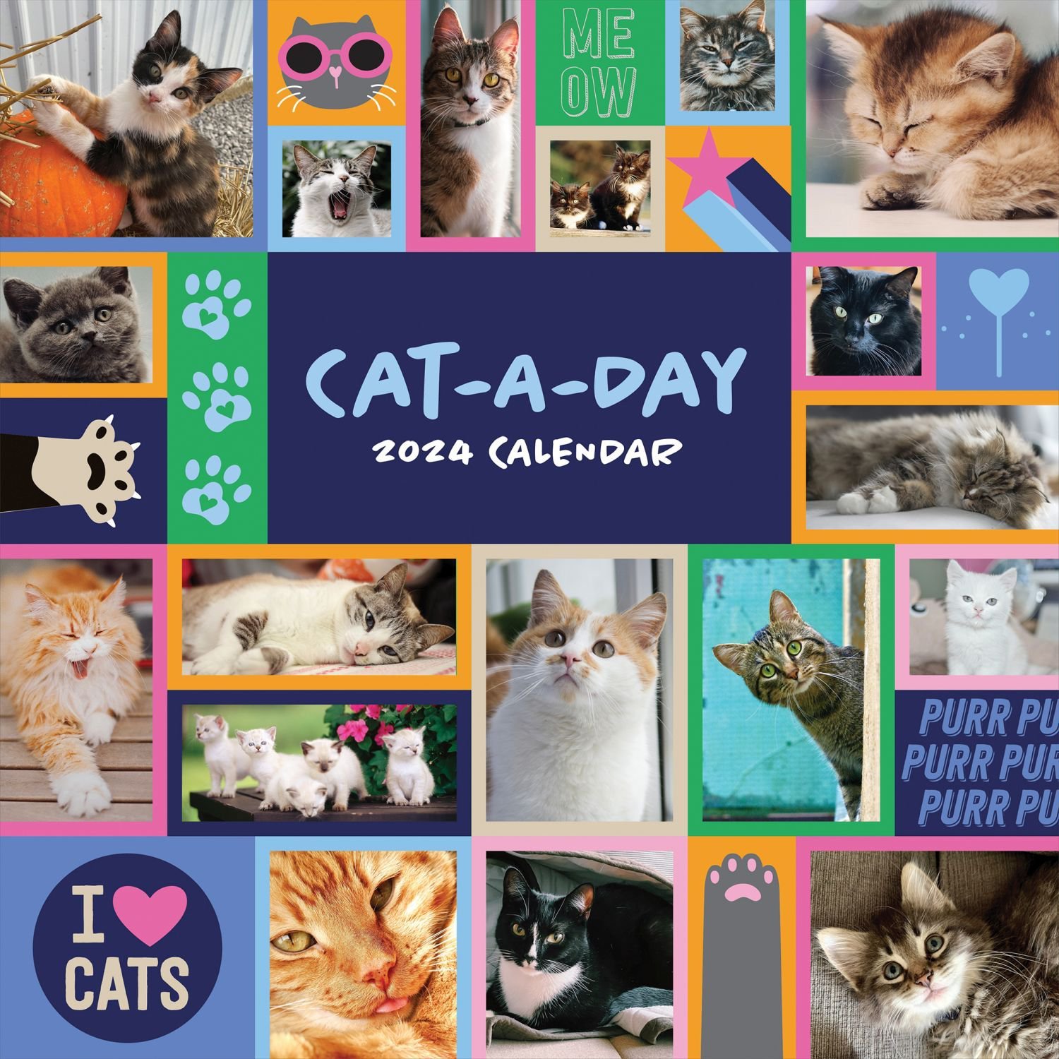 Cat A Day 2024 Wall Calendar