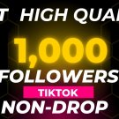 Get High Quality 1,000 TIKTOK FOLLOWERS Non Drop