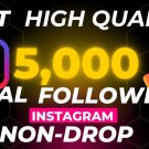 Get High Quality 5,000 Real Instagram Followers (Non Drop)