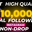 Get High Quality 10,000 Real Instagram Followers (Non Drop)