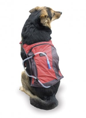 dog water backpack