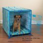 ProSelect Fashioned Colored Wire Dog Crate Kennel Small 24" Blue or Pink