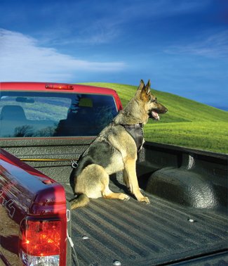 Truck bed dog cross clearance tether