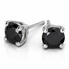 14K White Gold 3.00 CARAT Round Black Diamond Studs Earrings