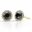 1CT Black Diamond-14K Yellow Gold Halo Solitaire Screw-Back Martini Earrings