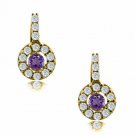 14K Yellow Gold Plated Silver FEBRUARY Birthstone Halo Drop Lever Back Earrings