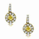 14K Yellow Gold Plated Silver NOVEMEBR Birthstone Halo Drop Lever Back Earrings