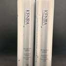 2 Pack Kenra PLATINUM # 14 WORKING SPRAY 10 OZ NEW MISSING CAPS AND DENTED CANS
