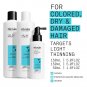 Nioxin Scalp + Hair Thickening System 3 | For Colored or Damaged Hair with Light