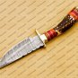 8" Inch Handmade Damascus Steel Hunting knife Handle Deer Antler leather Sheath