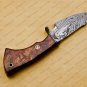 Custom Damascus Hunting Knife Damascus Fixed Blade Knife Gifts For Men, Father's Day gift, Groomsmen