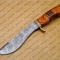 Custom Damascus Hunting Bowie Knife Fixed Blade Gift for Men, Handmade Gift + Cover