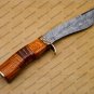 Custom Damascus Hunting Bowie Knife Fixed Blade Gift for Men, Handmade Gift + Cover