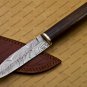 Damascus Steel Hunting Knife, Handmade Damascus Dagger Knife, Fixed Blade, Bowie Knife Rose Wood