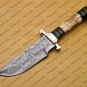 Damascus Steel Hunting knife Handle Deer Antler Handle + Gard shape could be different then picture