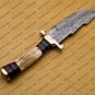 Damascus Steel Hunting knife Handle Deer Antler Handle + Gard shape could be different then picture