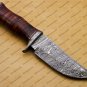 Handmade Damascus Steel Hunting Knife Damascus Skinner Knife, Camping  Boot Knife Walnut Wood Handle