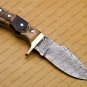 Handmade Damascus Steel Hunting Knife Damascus Skinner Knife, Camping  Boot Knife Walnut Wood Handle