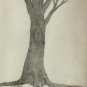 The Tree