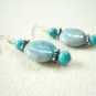 Turquoise Silver Dangling Delight Earrings