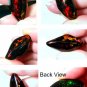 WORLD CLASS SOLID 31 CARAT NEON COLOR FLASH BLACK OPAL!