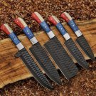 5pice Handmade Carbon Steel  Kitchen Chef Set wood Handle with Lethathe Rolbag
