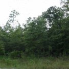 34.76 Acres in Cecil Co., MD