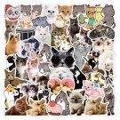 20Pcs Cat Stickers Cute Adorable Feline Kawaii Sticker Vinyl