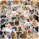 50Pcs Cute Cats Stickers For Guitar Luggage Laptop Phone Water Bottle Graffiti