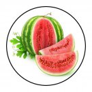30 1.5" Watermelon Round Stickers Envelope Seals Favor Labels