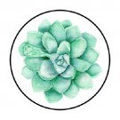48 Succulent Envelope Seals Labels Stickers 1.2" Round Favor