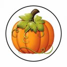 48 Pumpkin Fall Autumn Envelope Seals Labels Stickers 1.2" Round