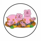 48 Pigs Mud Envelope Seals Labels Stickers 1.2" Round