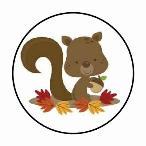 48 Fall Squirrel Envelope Seals Labels Stickers 1.2" Round