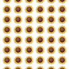48 Big Sunflower Envelope Seals Labels Stickers 1.2" Round