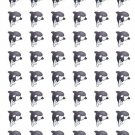 48 Killer Whale Envelope Seals Labels Stickers 1.2" Round