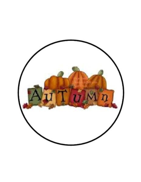 48 Autumn Pumpkin Fall Envelope Seals Labels Stickers 1.2" Round