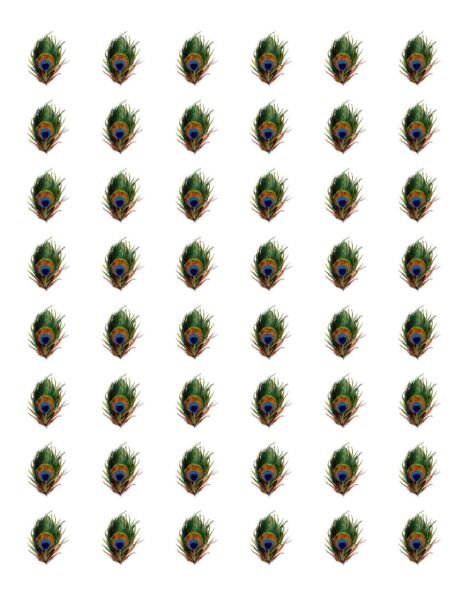 48 Peacock Feather Envelope Seals Labels Stickers 1.2" Round