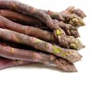10 Purple Passion Live Asparagus Bare Root 2Yr Crowns Hand Picked Nursery Garden Home