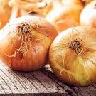 1000 Walla Walla Sweet Onion Seeds Heirloom Non Gmo Usa Garden Fresh