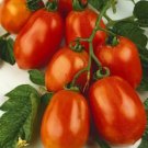 100 Rio Grande Italian Paste Tomato Seeds Heirloom Non Gmo Harvest Garden Fresh