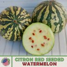 10 Citron Red Seeded Watermelon Seeds Heirloom Non Gmo Genuine Usa Garden Fresh