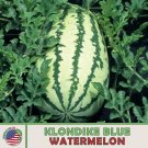 10 Klondike Blue Ribbon Striped Watermelon Seeds Heirloom Non Gmo Genuine Usa Garden Fresh