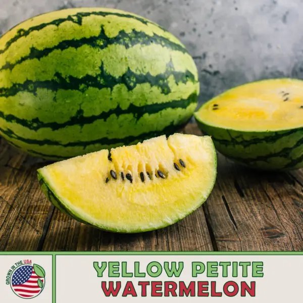 10 Yellow Petite Watermelon Seeds Heirloom Non Gmo Genuine Usa Garden Fresh