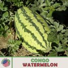 10 Congo Watermelon Seeds Heirloom Non Gmo Genuine Usa Garden Fresh