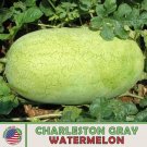 10 Charleston Gray Watermelon Seeds Heirloom Non Gmo Genuine Usa Garden Fresh