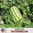 10 Jubilee Watermelon Seeds Heirloom Non Gmo Genuine Usa Garden Fresh