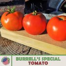 10 Burrell'S Special Tomato Seeds Heirloom Non Gmo Genuine Usa Garden Fresh
