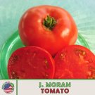 10 J Moran Tomato Seeds Heirloom Non Gmo Genuine Usa Garden Fresh