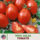 10 Viva Salsa Tomato Seeds Hybrid Non Gmo Genuine Usa Garden Fresh